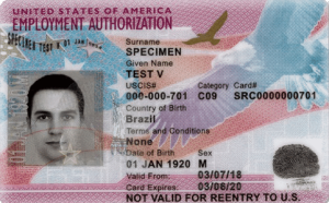 Work authorization documents for CDL Work authorization documents for CDL