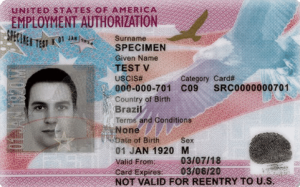 Work authorization documents for CDL